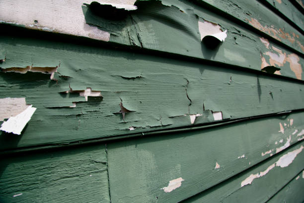 Best Residential Junk Removal  in Williamsburg, KY