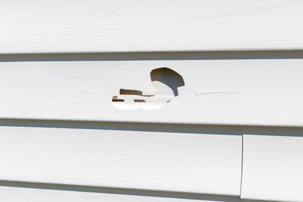 Best Hoarding Cleanup  in Williamsburg, KY