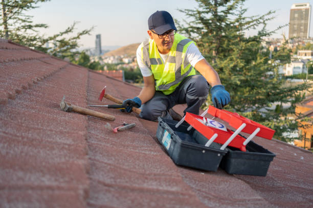 Best Construction Debris Removal  in Williamsburg, KY